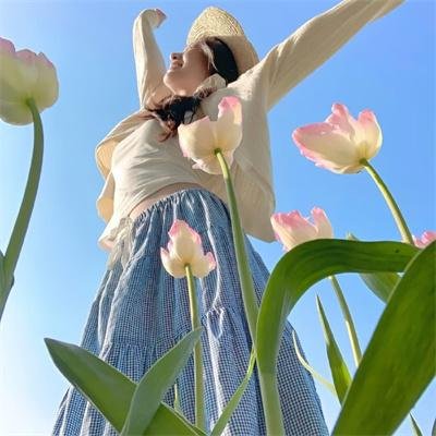 伴谍同盟